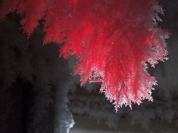 SCP-009 Red Ice Classification: Euclid / Cosplay / Creepy - Israel