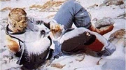 Schmatz's body, seventeen hours after her death.