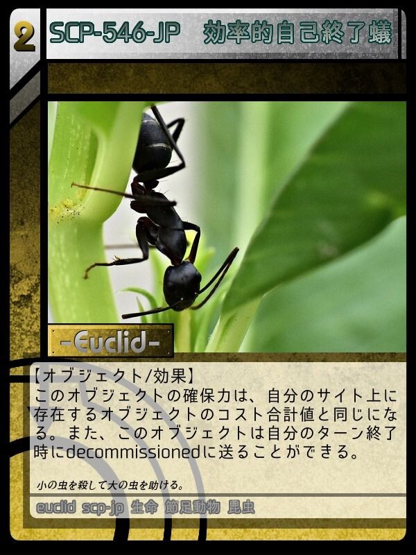 Scp 546 Jp 効率的自己終了蟻 Scptcgjpj Wiki Fandom Scp 546 Jp 効率的自己終了蟻 Scptcgjpj Wiki Fandom