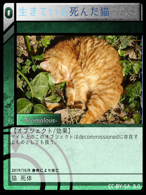 生きている死んだ猫 Scptcgjpj Wiki Fandom