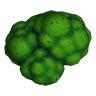 Broccoli icon