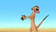 Timon (The Lion King)