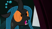 Chrysalis Angry