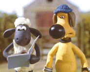 Shaun and Bitzer1