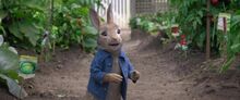 Live Action Peter Rabbit