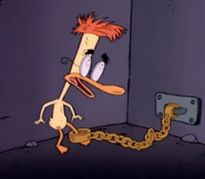 Duckman's confidence