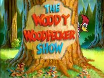 The New Woody Woodpecker Show (May 8, 1999)