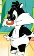 Baby Sylvester