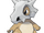 Cubone