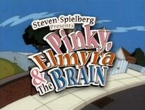 Pinky, Elmyra and the Brain (September 19, 1998)