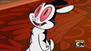 Bunnicula as Geo