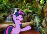 MLPCVTFB - Twilight Sparkle says for Bird Good morning, friend.