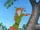 Robin Hood (Disney)