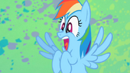 Rainbow Dash Screams