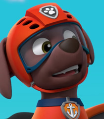 13 Facts About Zuma (PAW Patrol) 