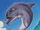 Ecco the Dolphin (Character)