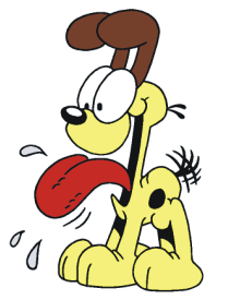 Odie and store cody pet shampoo