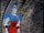Merdude