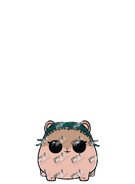 Coco Hammy