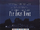 Opening to Fly Away Home 1996 Theater (Pacific Theaters)