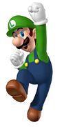 Luigi in New Super Mario Bros. (Nintendo DS)