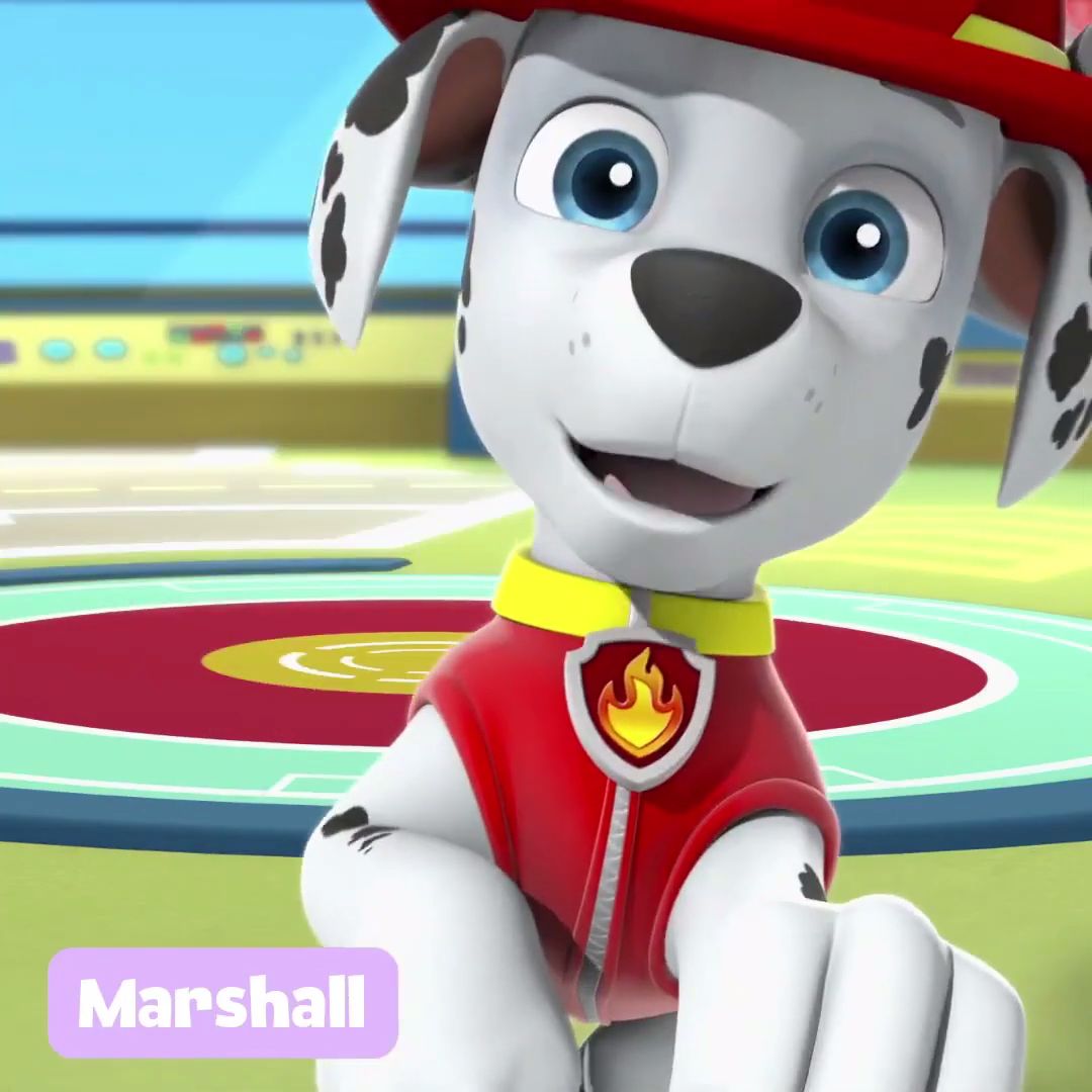 Marshall (PAW | Scratchpad | Fandom