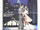 Slow Dancing in the Big City (1978)