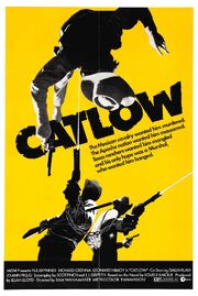 1971 - Catlow Movie Poster