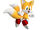 Classic Tails