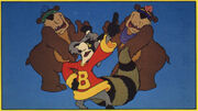 The Bears (The Raccoons)
