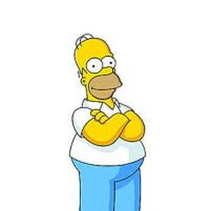 Homer Simpson Scratchpad Fandom - the homer simpson scream roblox