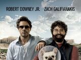 Opening to Due Date 2010 Theater (Regal)