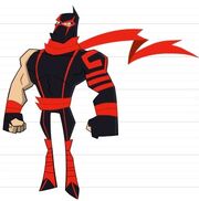 Ninja of 2005