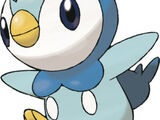 Piplup (character)