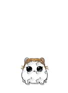 Rolls