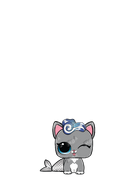 Captain Kitty