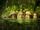 Opening to Jumanji: Welcome to the Jungle 2017 Theater (Regal)