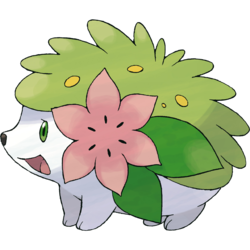 Shaymin, Scratchpad