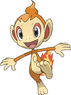 Chimchar (Character) | Scratchpad | Fandom