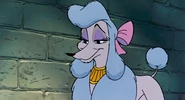 Georgette (Poodle).png (1.76 MB)