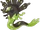 Zygarde