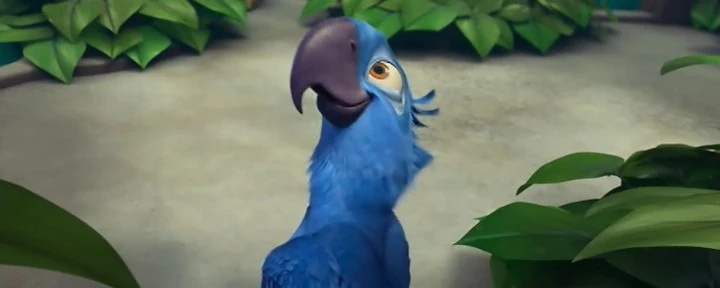 Blu Scratchpad Fandom