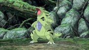 Tyranitar in the anime
