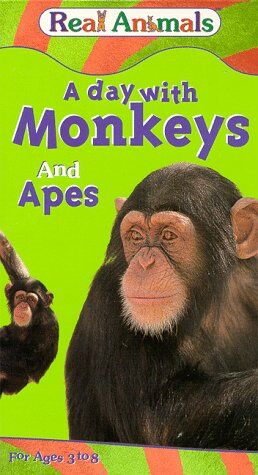 Opening To Real Animals: A Day With Monkeys And Apes 1995 VHS