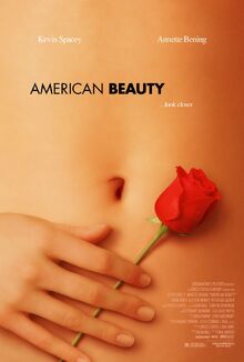 American beauty xlg