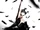 Black Swan (2010)