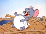 Nibbles (Tom and Jerry)