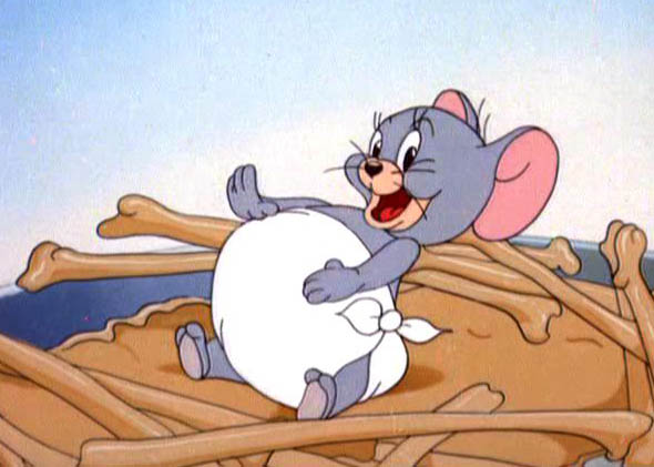 tom and jerry nibbles weight gain