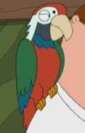 Adrian Beaky.jpg