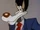 Stephen Wolf (Animaniacs)